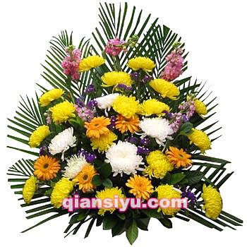 新兴花圈
